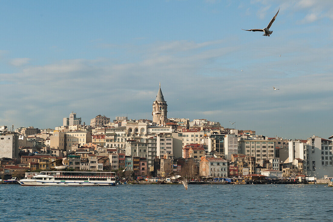 Ein Vogel im Flug über dem Wasser und ein Blick auf Boote im Hafenviertel; Istanbul Türkei