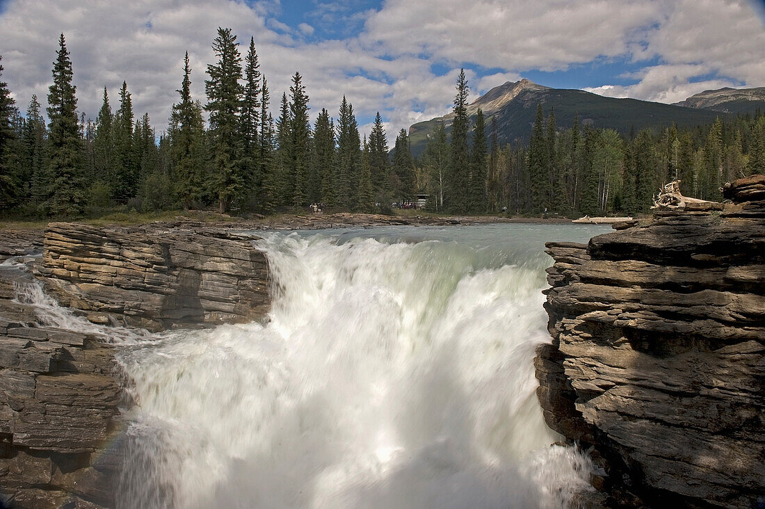 Athabasca Wasserfälle; Alberta Kanada