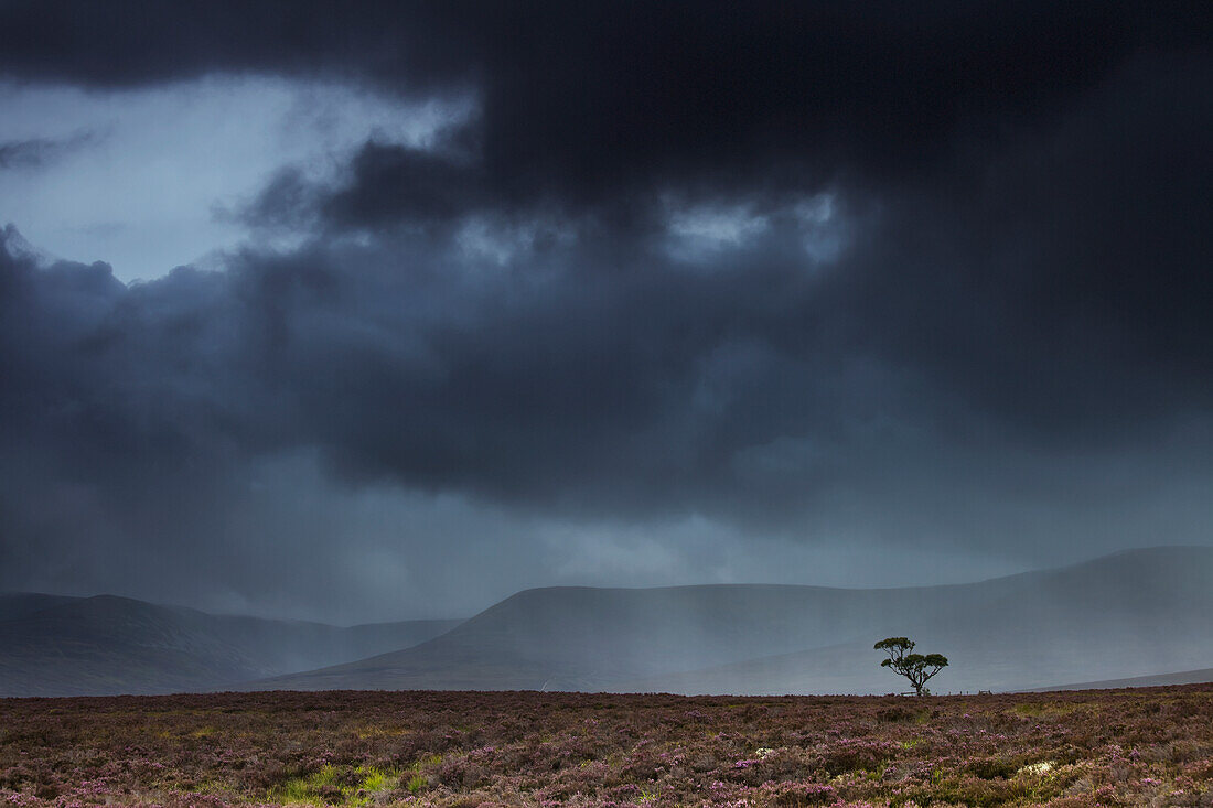 Dunkle Gewitterwolken mit Regenschlieren und Bergen in der Ferne; Highlands Schottland
