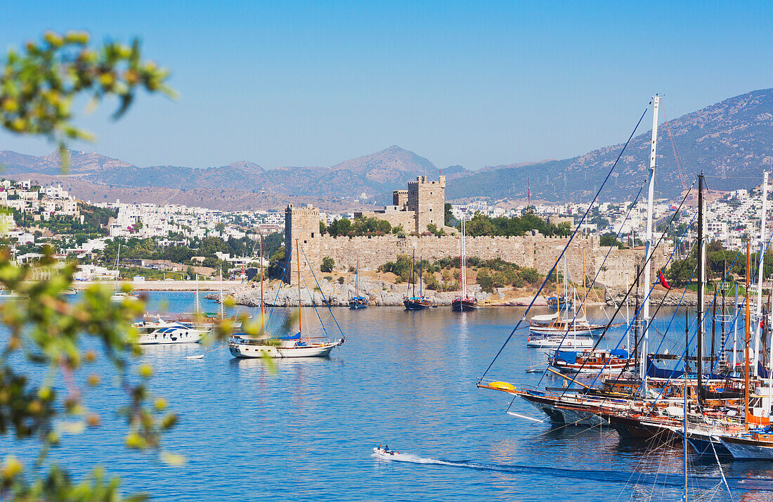 Blick über den Hafen auf die Burg St. Peter; Bodrum Mugla Provinz Türkei