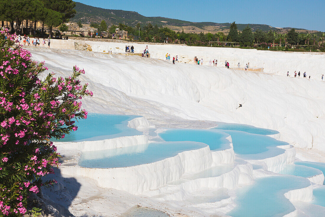 Die weißen Travertin-Kalkstein-Terrassen und Pools von Pamukkale sind bekannt als die Baumwollburg; Pamukkale in der Provinz Denizli, Türkei