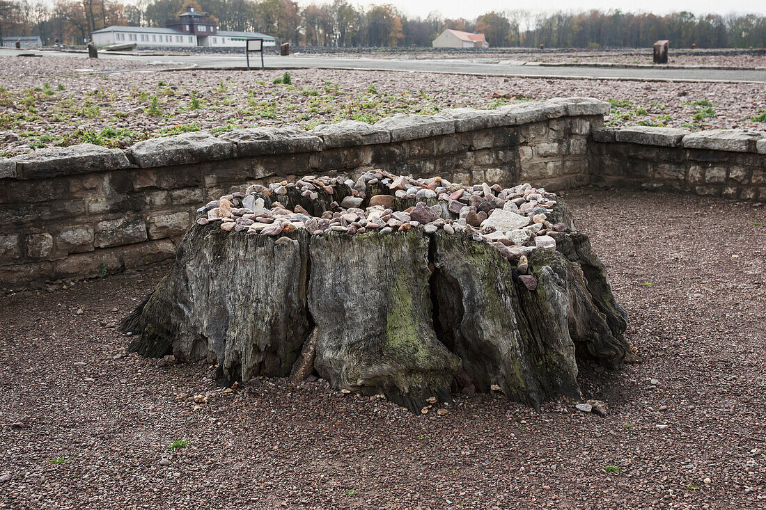 Goethe's Oak, Buchenwald Concentration Camp; Buchenwald, Germany