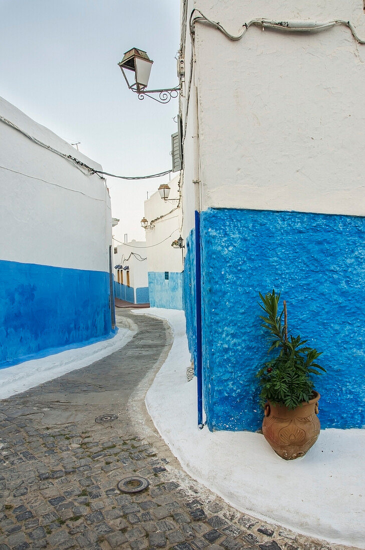 Marokko, Rabat, Blau und weiß gestrichene Gebäude in der Altstadt