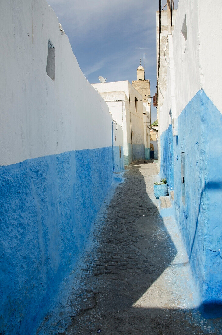 Marokko, Rabat, Blau-weiß gestrichene Gebäude in der Altstadt