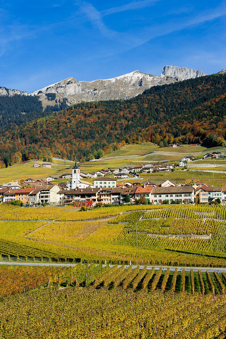 Schweiz, Weinberge; Yvorne Dorf