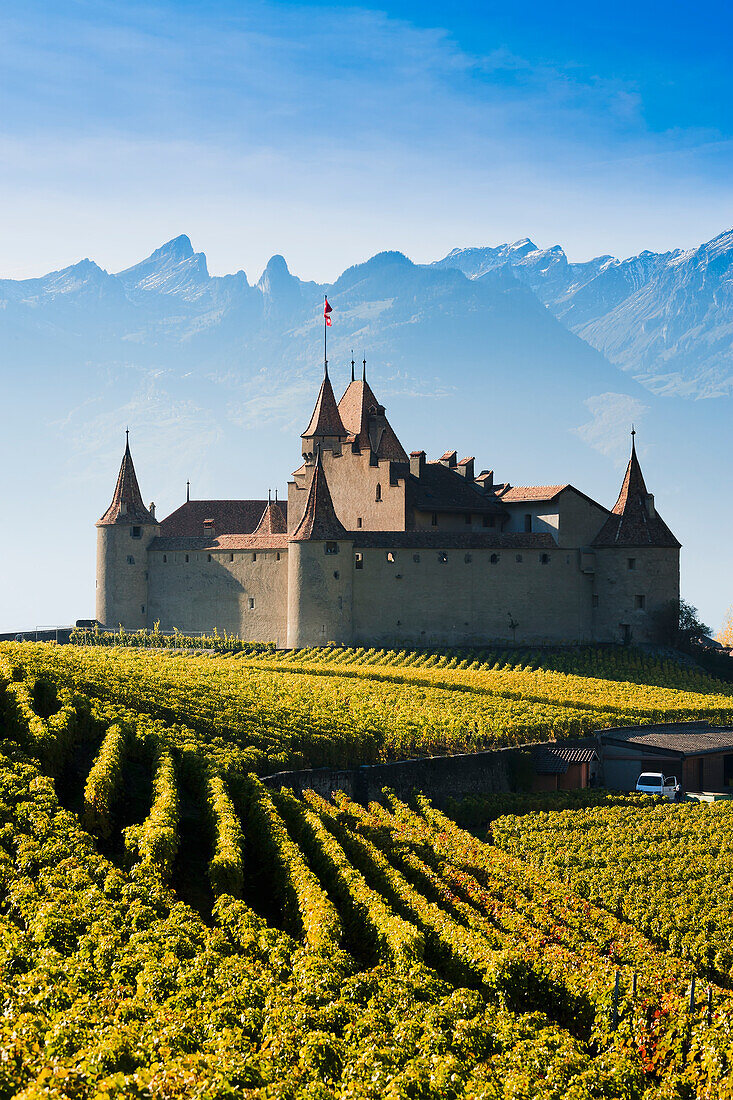 Switzerland, Vineyards and castle; Aigle