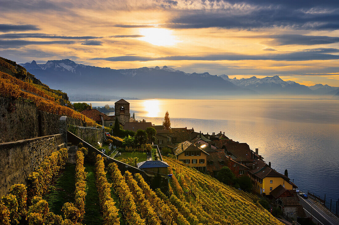 Schweiz, Lavaux Unesco Welterbe Region, Weinberge; Saint-Saphorin