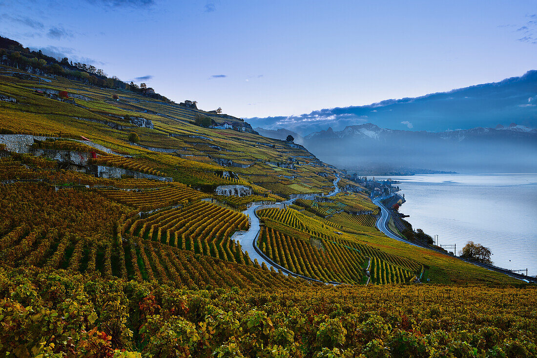 Switzerland, Lavaux Unesco World Heritage region, Vineyards; Rivaz village and Lake Geneva
