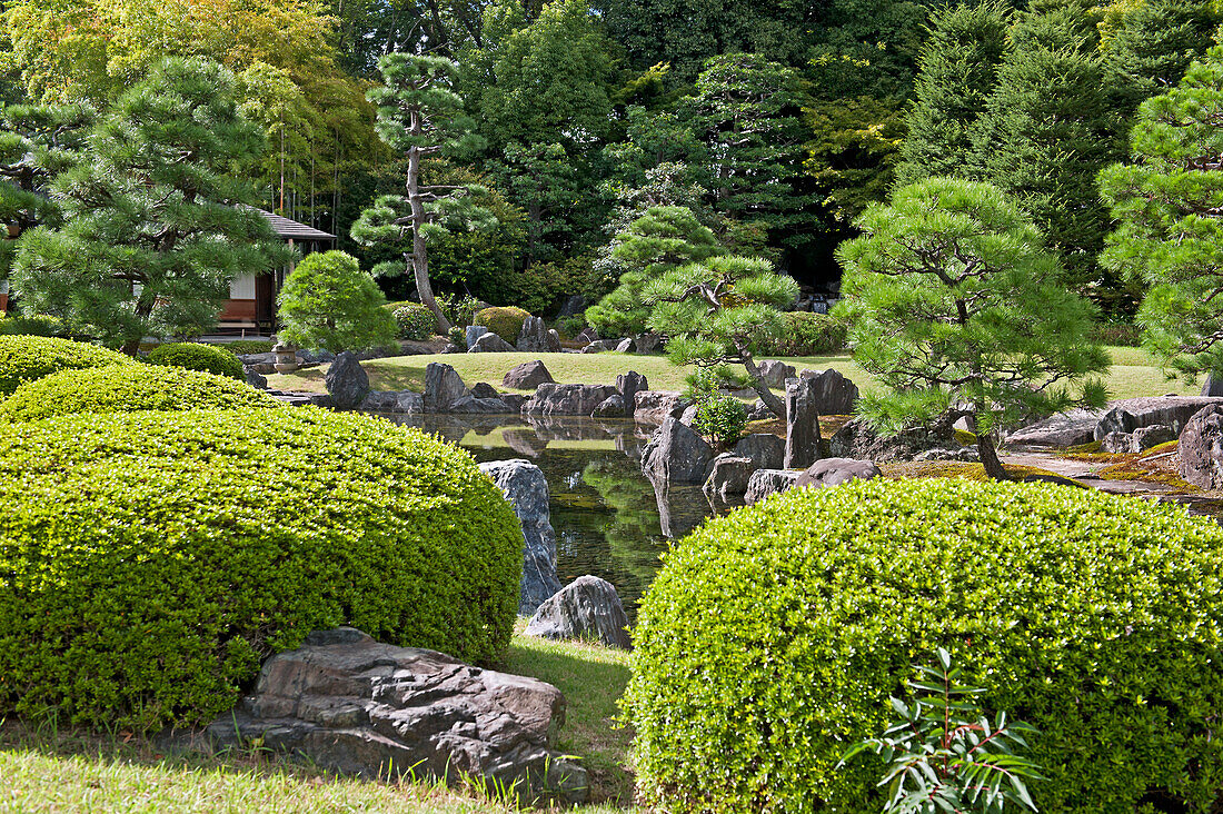 Japan, Pflanzen und Felsen in einem dekorativen Gartenbereich; Tokio