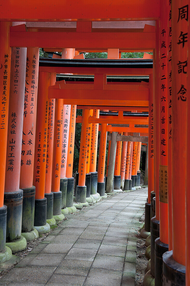 Japan, Rote Säulen entlang eines Weges; Kyoto