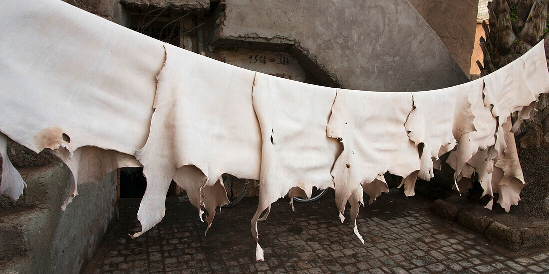 Skins On A Line To Dry At A Leather Tannery; Morocco