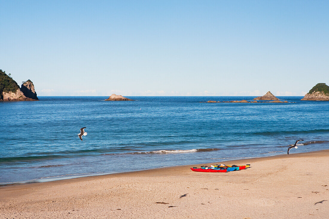 Kajaks auf dem Strand von Hahei auf der Coromandel Halbinsel; Hahei, Neuseeland