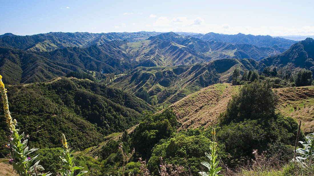 Blue Duck Lodge, eine arbeitende neuseeländische Farm im Whanganui Nationalpark; Whakahoro, Neuseeland