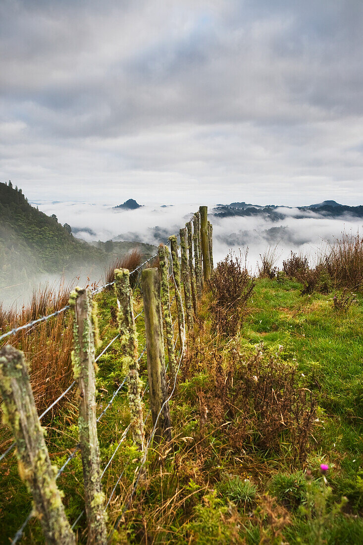 View From The Tops Of The Hills Over The Morning Fog At Blue Duck Lodge In The Whanganui National Park; Whakahoro, New Zealand