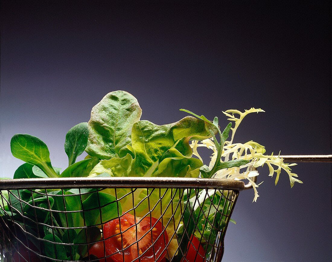 Blattsalate & Tomaten im Drahtkorb