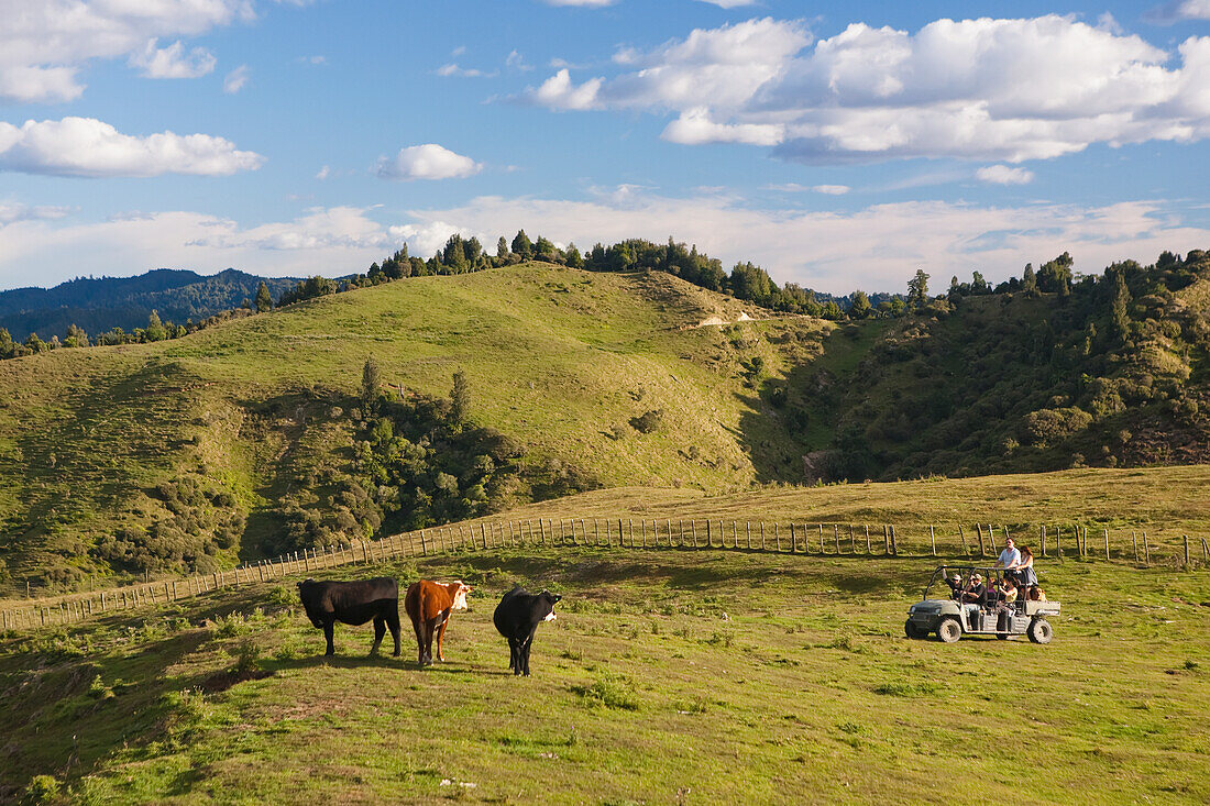 Travelers Explore The Grounds Of The Blue Duck Lodge On A Buggy Tour, Whanganui National Park; Whakahoro, New Zealand