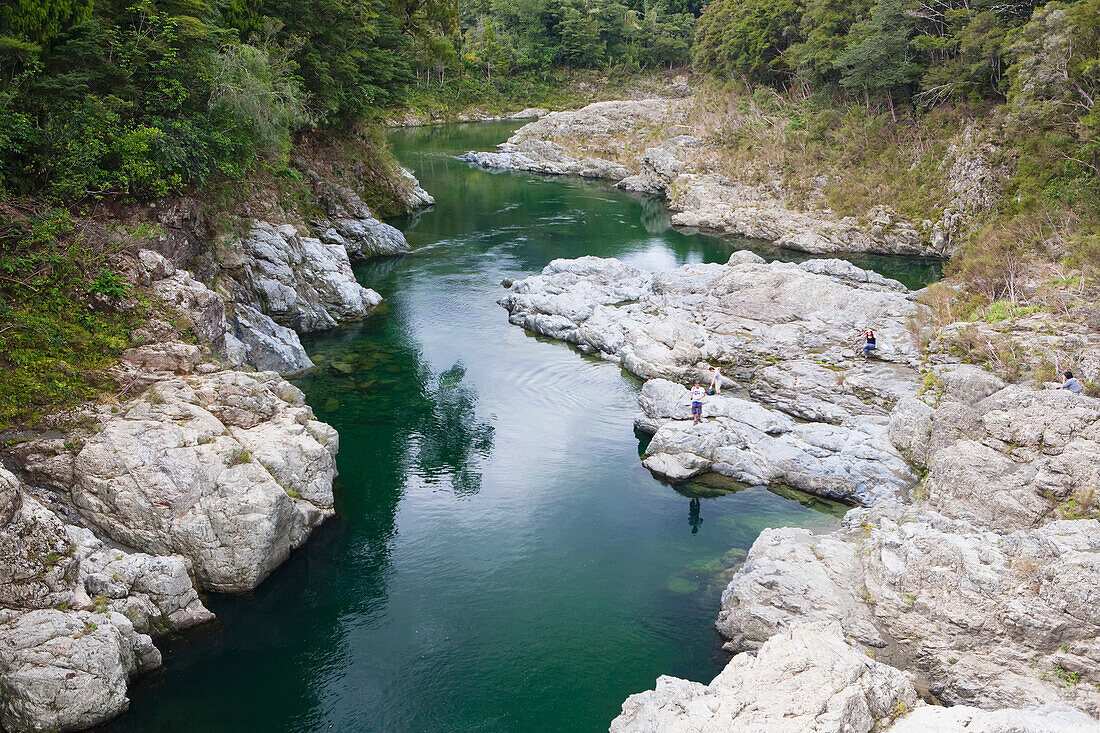 A River Running Through The Tasman Region; Abel Tasman, New Zealand