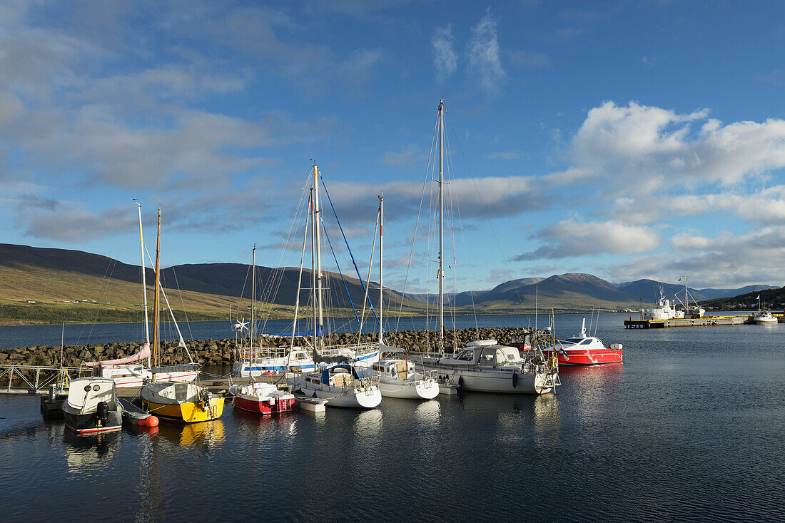 Harbour With Mooring Boats; Akureyri, Eyjafjardarsysla, Iceland