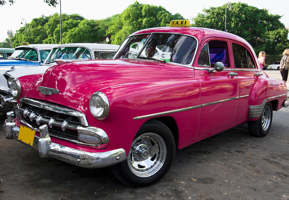 Bright Pink Chevy Taxi Parked With Other Taxis; Havana, Artemisa, Cuba