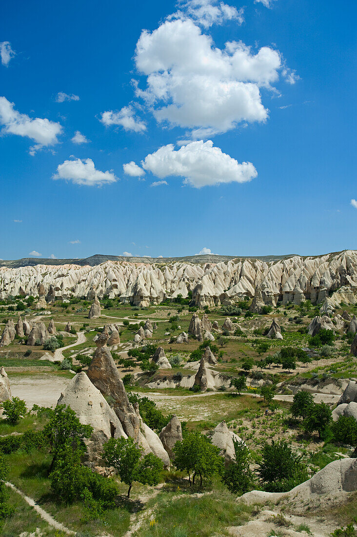 Valley In Goreme; Cappadocia, Turkey