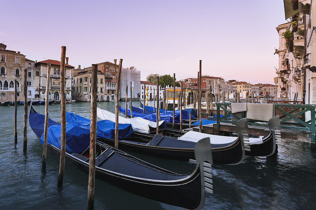 Anlegende Gondeln in einer Reihe; Venedig, Italien