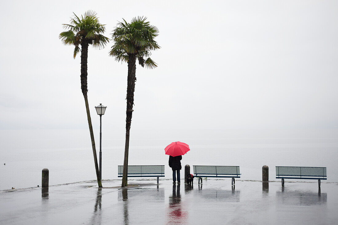 A Woman Stands At The Water's Edge With A Red Umbrella With Dense Fog Covering The Water; Ascona, Ticino, Switzerland