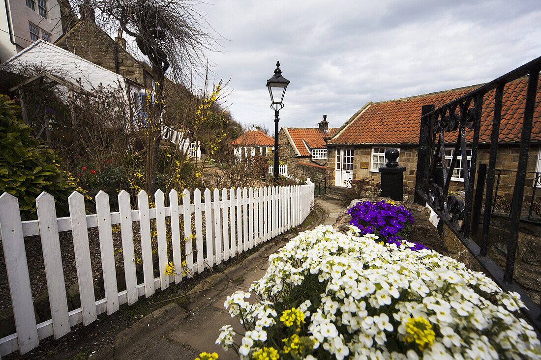 Bunte Blumen säumen einen Wanderweg in einem Wohngebiet; Runswick Bay, North Yorkshire, England
