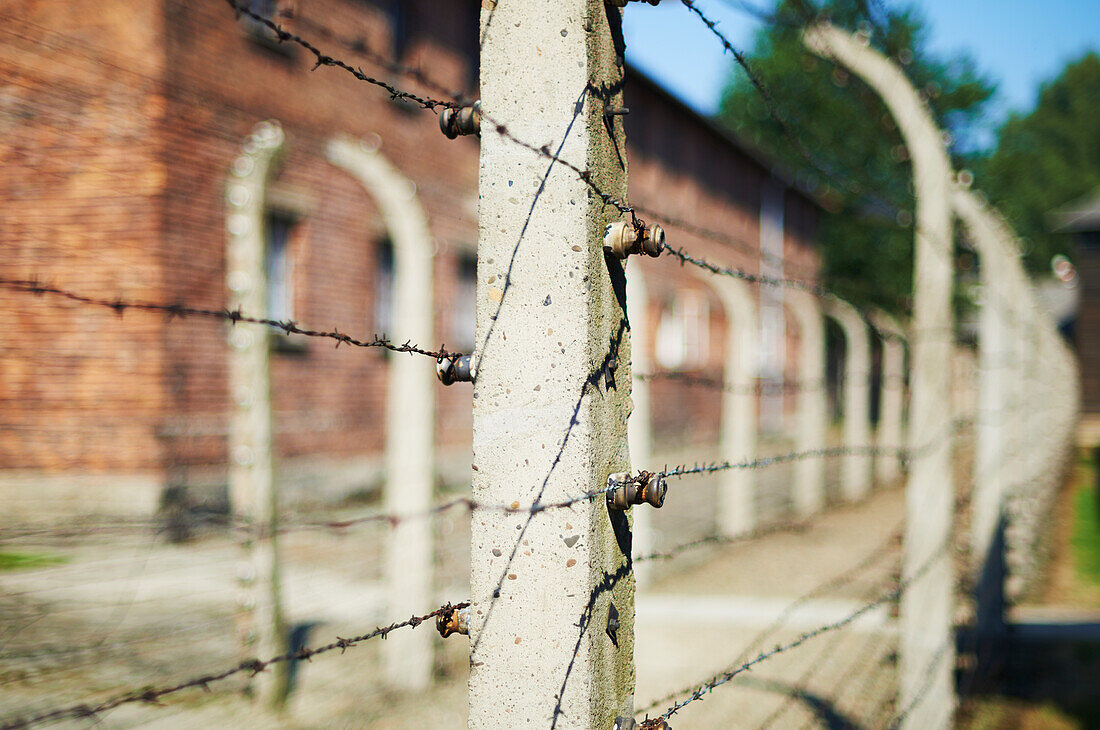 Detail Of Barbed Wire Fence In Auschwitz Concentration Camp; Osweciem, Poland