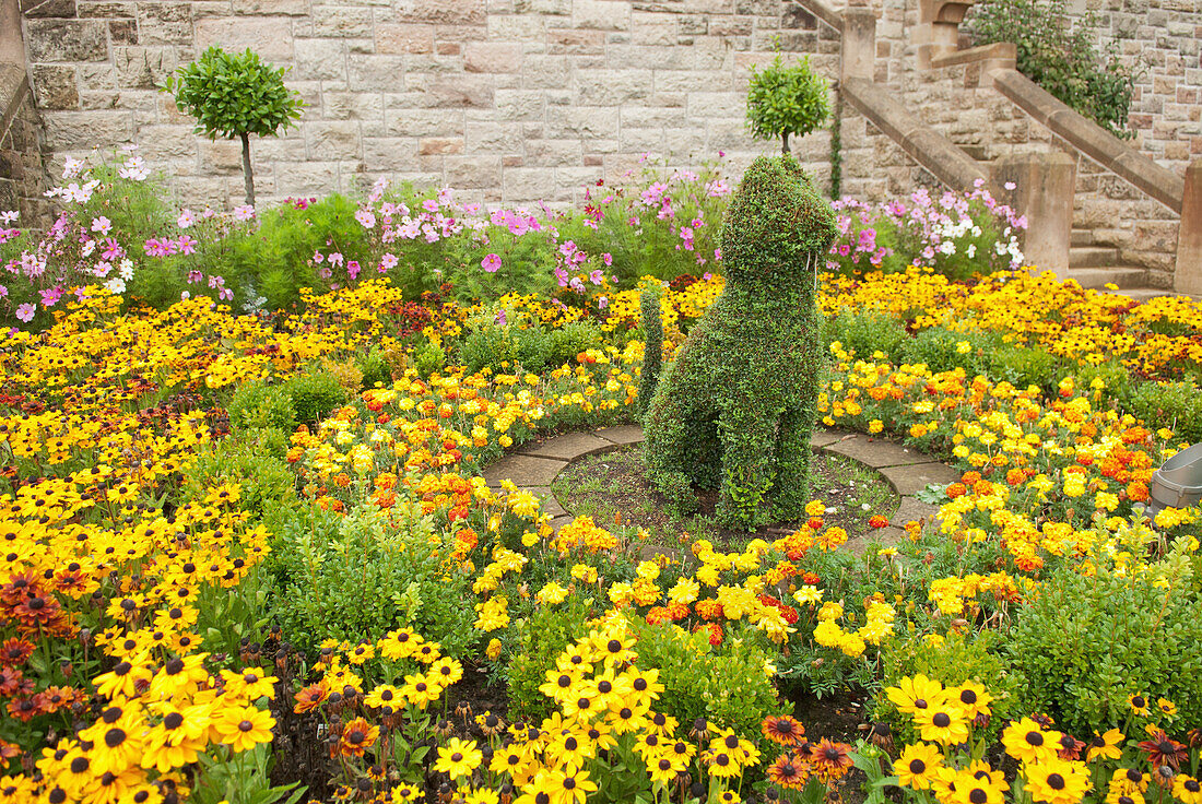 A Shrub Trimmed Into The Shape Of A Cat At Belfast Castle; Belfast, Ireland