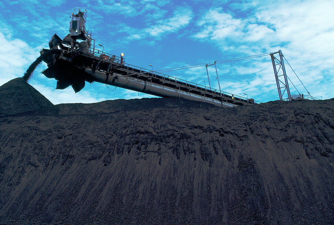 Black Coal Mining, Coal Reclaimer
