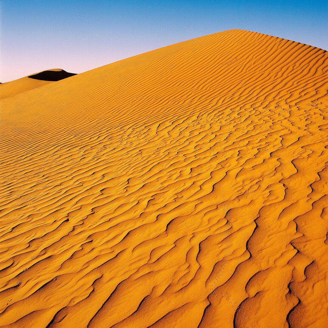 Desert, Red Sand Dune