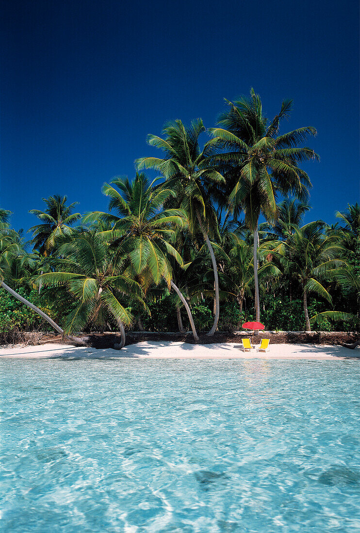 Tropische Meereslandschaft, Kokosnusspalmen am Strand