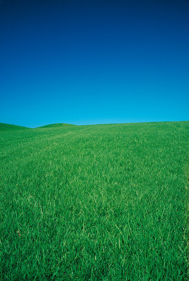 Landscape, Green Hill, Blue Sky