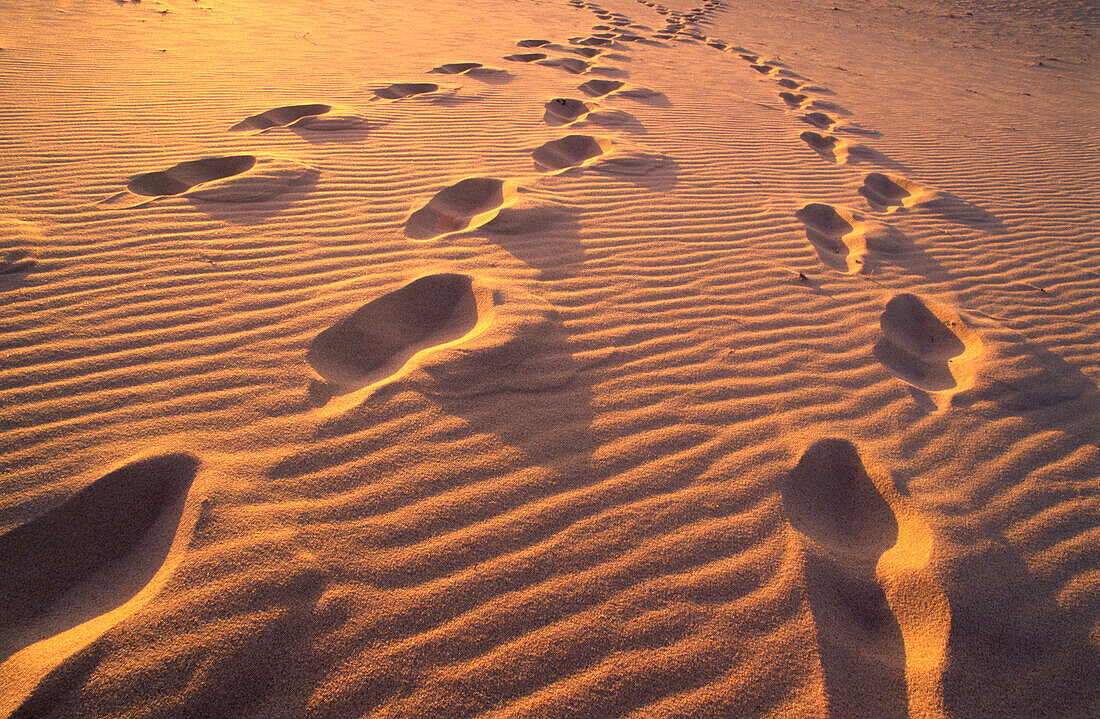 Fußabdrücke im Sand bei Sonnenuntergang