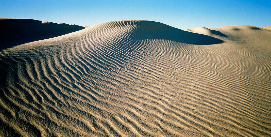 Sand Dune, Lake Mungo, Mungo National Park, New South Wales, Australia