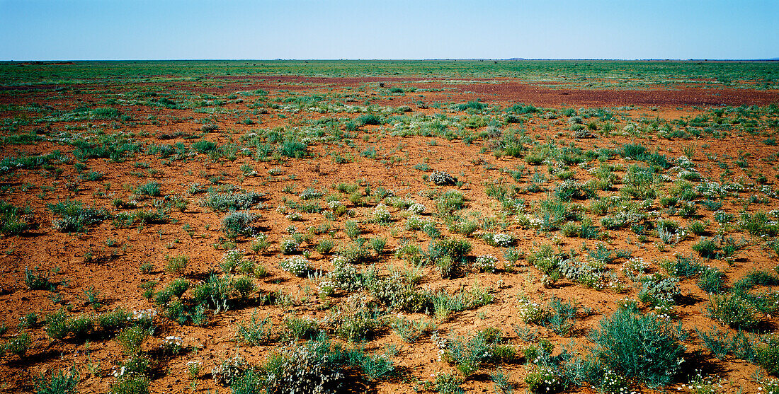 Neusüdwales, Australien