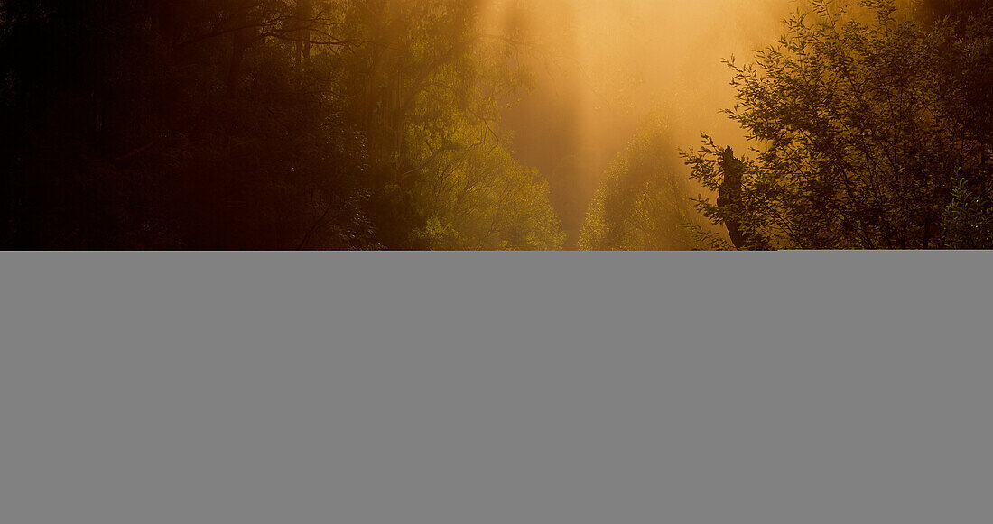 Dargo Fluss bei Sonnenuntergang, Australien