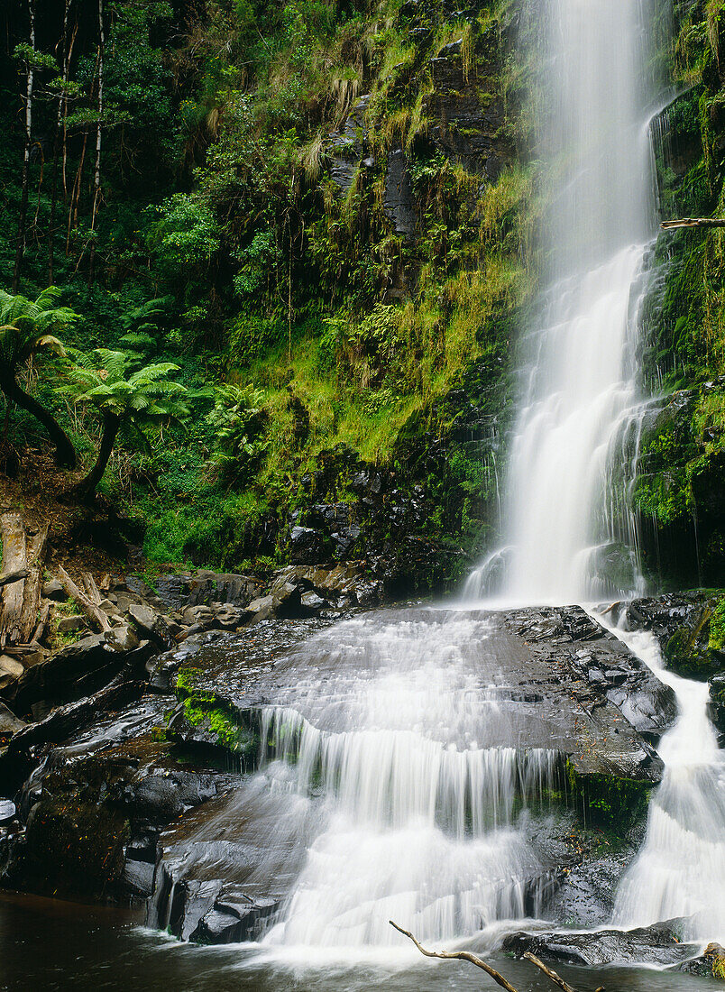 Erskine Falls, Otway National Park, Victoria, Australia