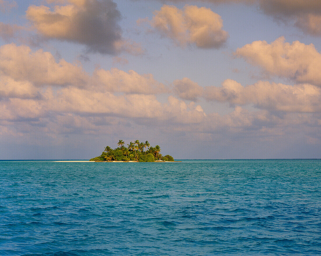 Tropical Island, Maldives
