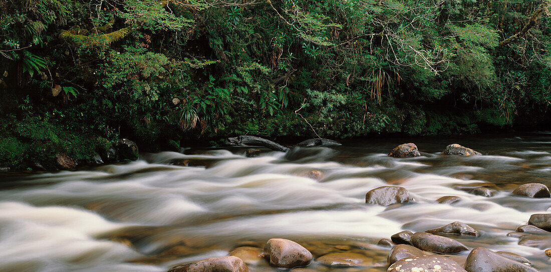 Franklin River und Regenwald, Tasmanien, Australien