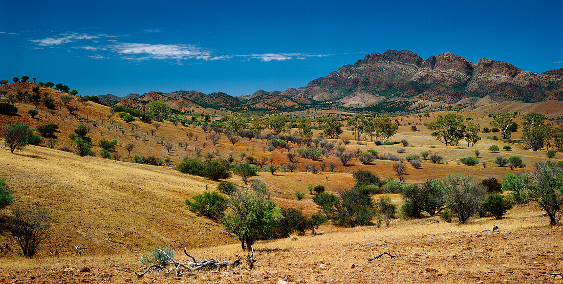 Landschaft, Flinders Ranges, Wilpena Pound, Australien