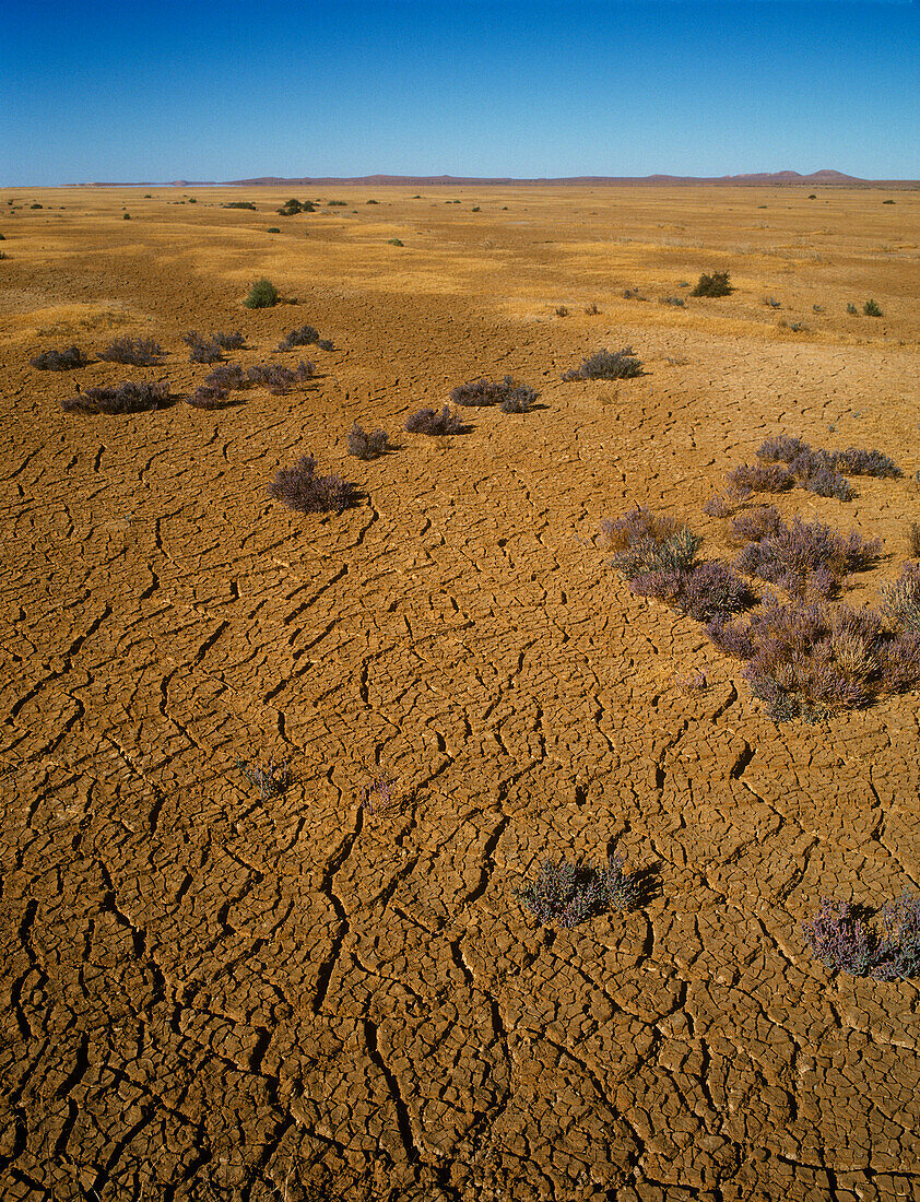 Cracked Earth, Dry Lake Bed, Australia