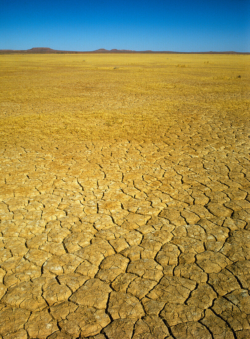 Cracked Earth, Dry Lake Bed, Australia