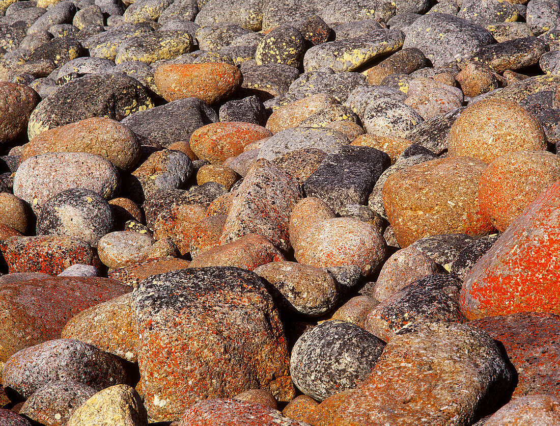 Nahaufnahme von mit Flechten bedeckten Granitsteinen, bei Bicheno, Tasmanien