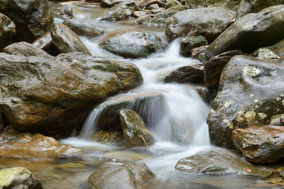 Nahaufnahme von Wasserfällen in einem Wald im Frühling, Bodenmais, Landkreis Regen, Nationalpark Bayerischer Wald, Bayern, Deutschland