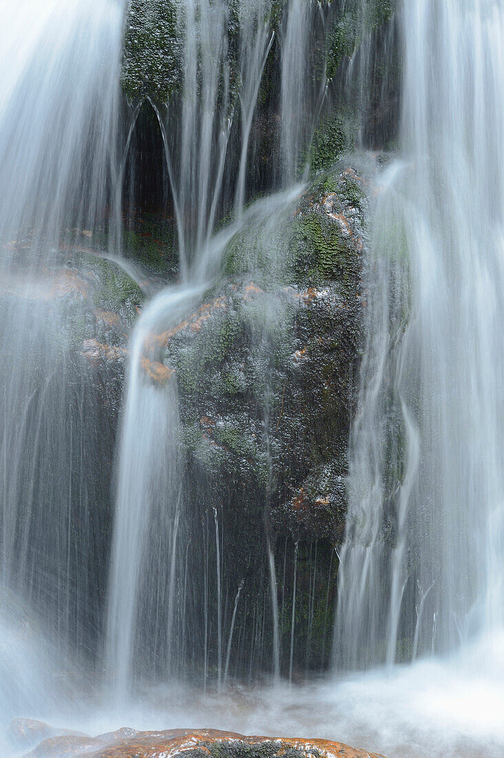 Nahaufnahme von Wasserfällen in einem Wald im Frühling, Bodenmais, Landkreis Regen, Nationalpark Bayerischer Wald, Bayern, Deutschland