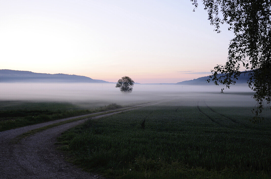 Eine kleine Straße, die durch Wiesen und Felder in den Nebel führt, Bayern, Deutschland.