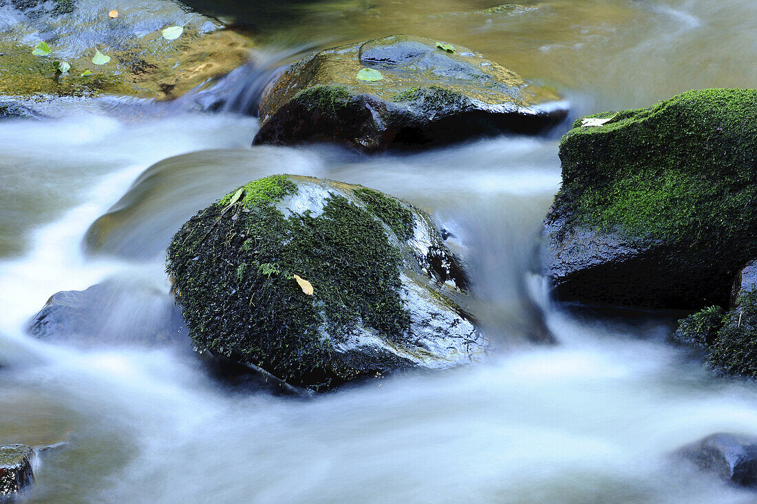 Detail des fließenden Wassers eines kleinen Flusses im Herbst im bayerischen Wald, Bayern, Deutschland.