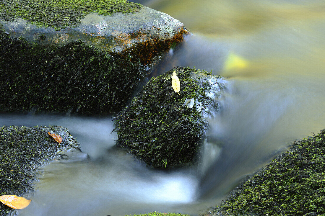 Detail des fließenden Wassers eines kleinen Flusses im Herbst im Bayerischen Wald, Bayern, Deutschland.