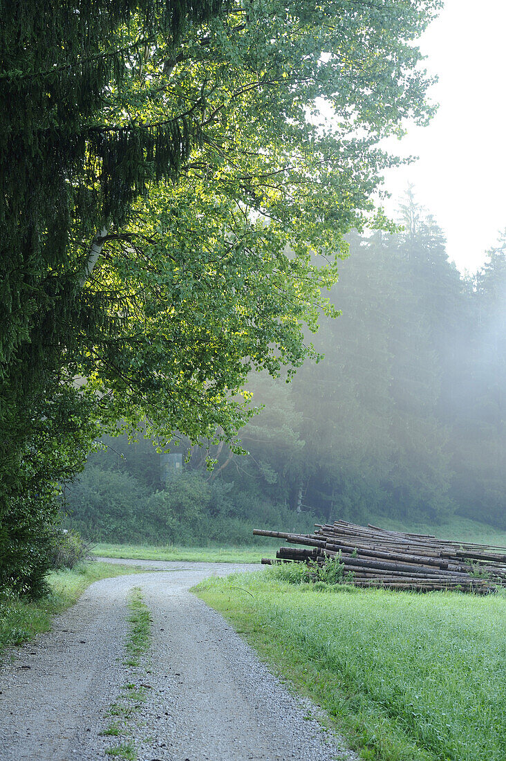 Landschaft an einem nebligen Morgen in der Oberpfalz, Bayern, Deutschland.